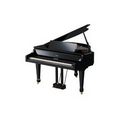 V Piano Grand - Black